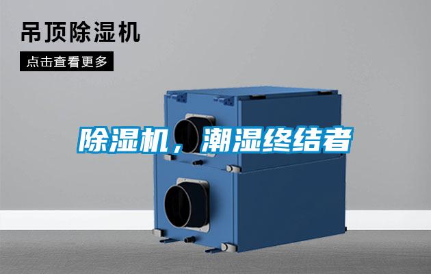 除濕機,潮濕終結者