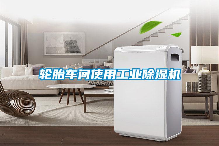 輪胎車間使用工業除濕機
