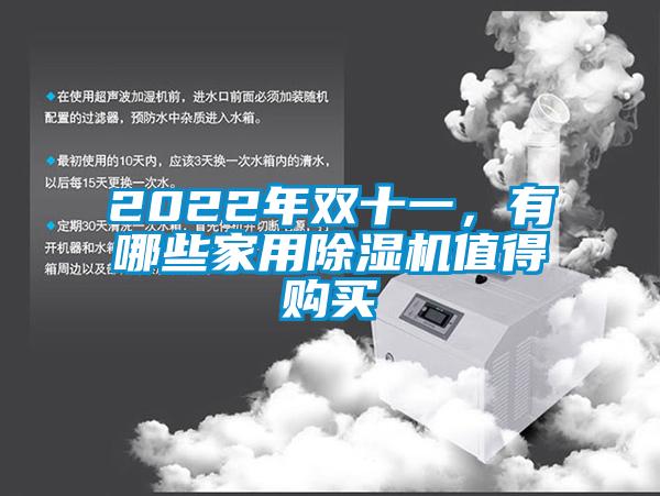 2022年雙十一,有哪些家用除濕機值得購買