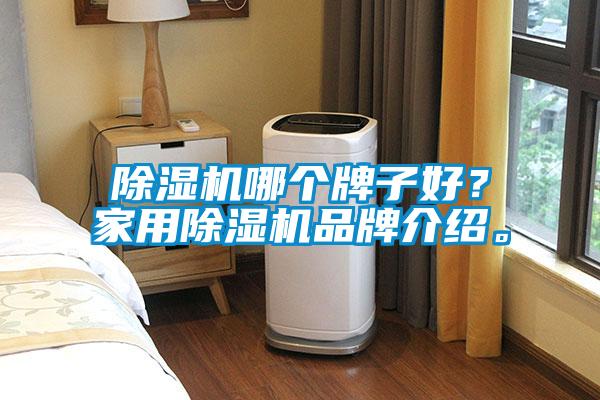 除濕機(jī)哪個(gè)牌子好?家用除濕機(jī)品牌介紹。