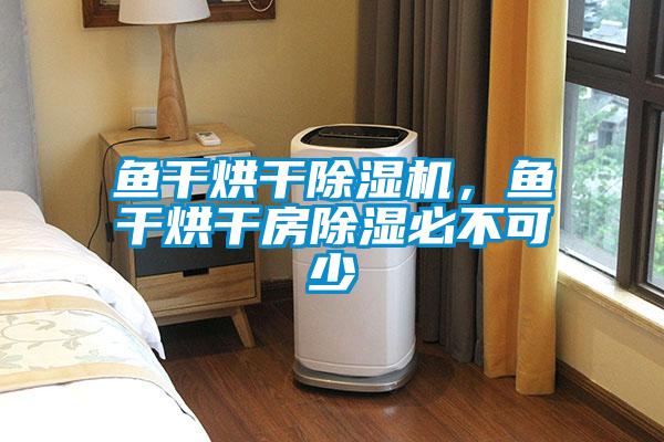 魚干烘干除濕機(jī),魚干烘干房除濕必不可少
