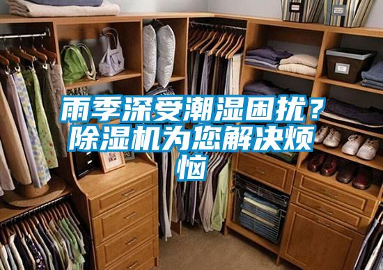 雨季深受潮濕困擾?除濕機為您解決煩惱