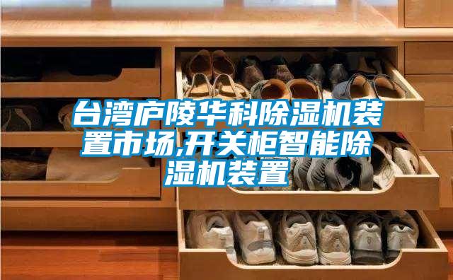 臺灣廬陵華科除濕機裝置市場,開關(guān)柜智能除濕機裝置