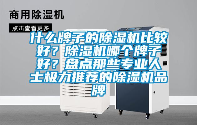 什么牌子的除濕機比較好？除濕機哪個牌子好？盤點那些專業人士極力推薦的除濕機品牌