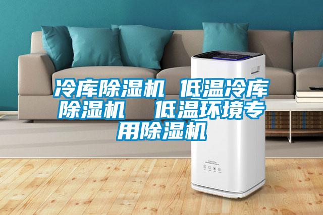 冷庫(kù)除濕機(jī) 低溫冷庫(kù)除濕機(jī) 低溫環(huán)境專(zhuān)用除濕機(jī)