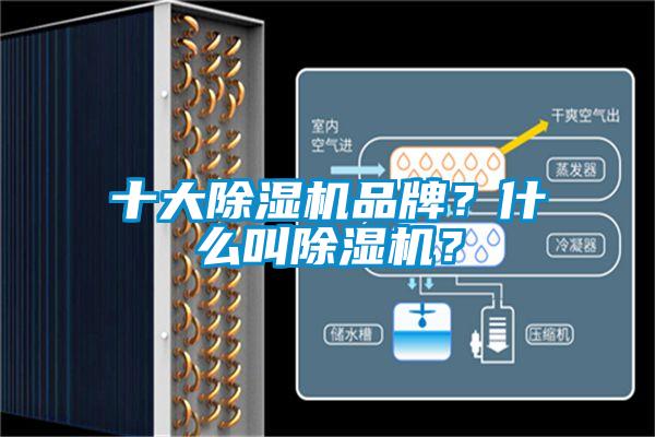 十大除濕機(jī)品牌?什么叫除濕機(jī)?
