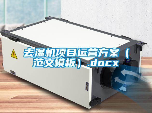 去濕機(jī)項(xiàng)目運(yùn)營方案(范文模板).docx