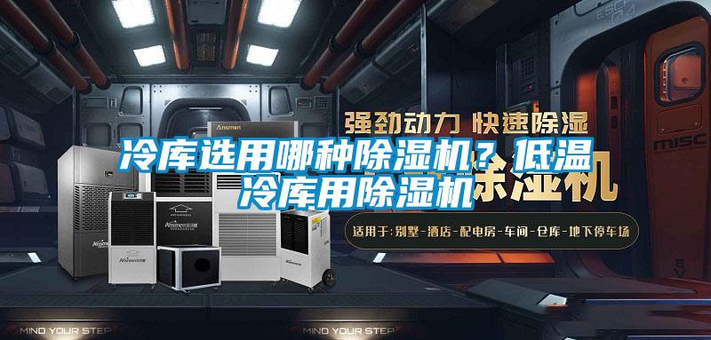 冷庫(kù)選用哪種除濕機(jī)？低溫冷庫(kù)用除濕機(jī)