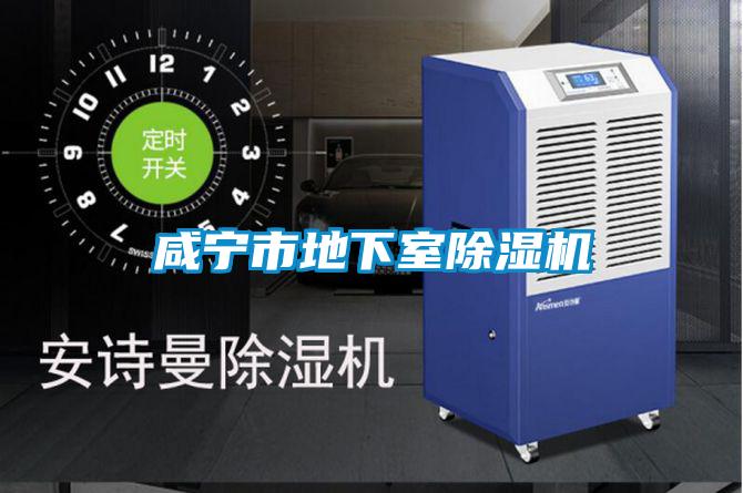 咸寧市地下室除濕機