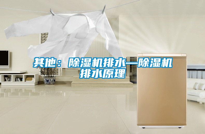 其他:除濕機排水—除濕機排水原理