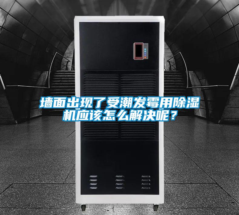墻面出現(xiàn)了受潮發(fā)霉用除濕機(jī)應(yīng)該怎么解決呢?
