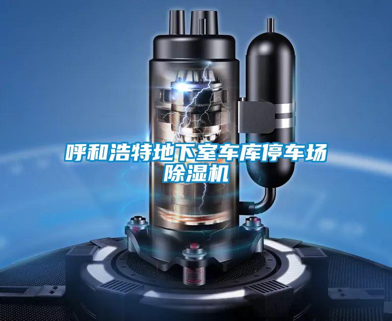 呼和浩特地下室車庫(kù)停車場(chǎng)除濕機(jī)