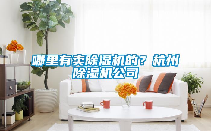 哪里有賣除濕機的?杭州除濕機公司