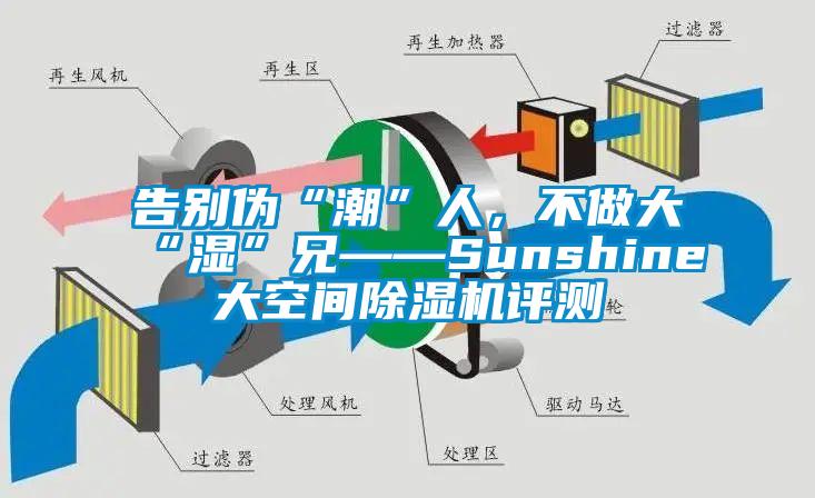 告別偽“潮”人，不做大“濕”兄——Sunshine大空間除濕機(jī)評測