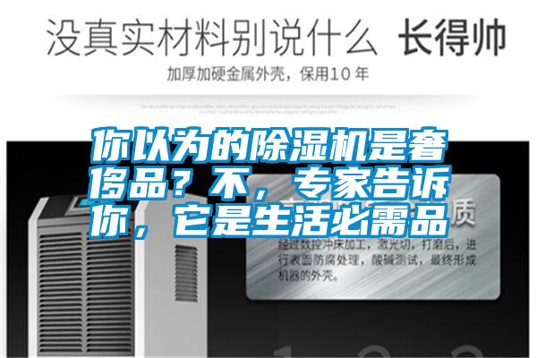 你以為的除濕機是奢侈品？不，專家告訴你，它是生活必需品