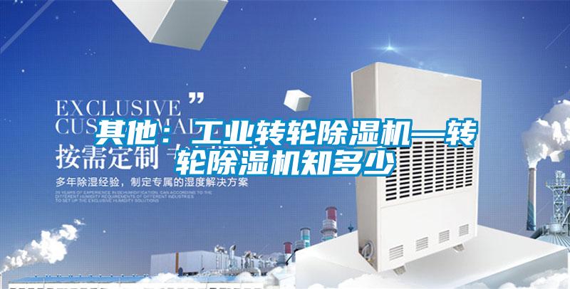 其他:工業(yè)轉(zhuǎn)輪除濕機—轉(zhuǎn)輪除濕機知多少