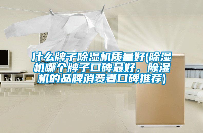 什么牌子除濕機質量好(除濕機哪個牌子口碑最好,除濕機的品牌消費者口碑推薦)