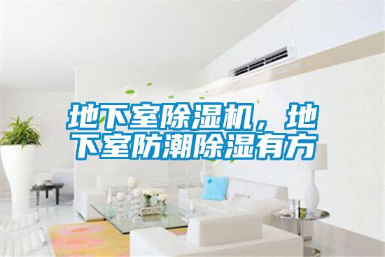 地下室除濕機，地下室防潮除濕有方