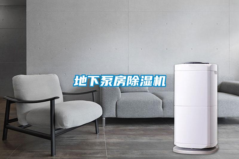 地下泵房除濕機(jī)