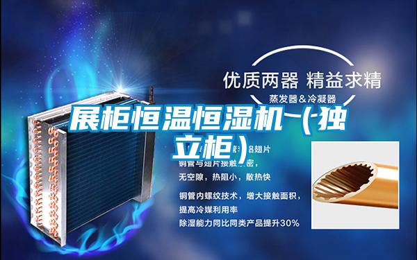 展柜恒溫恒濕機(獨立柜)
