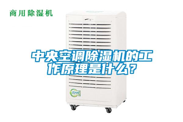 中央空調除濕機的工作原理是什么?