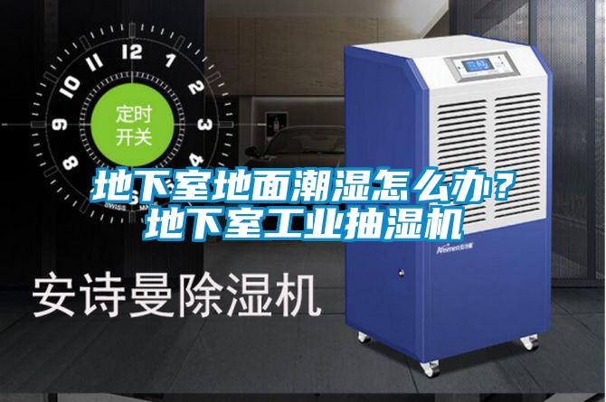 地下室地面潮濕怎么辦?地下室工業抽濕機