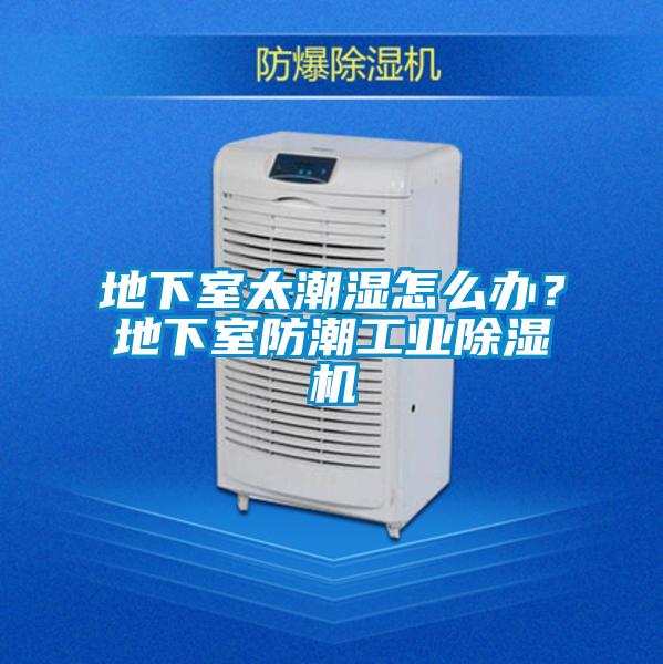 地下室太潮濕怎么辦？地下室防潮工業(yè)除濕機(jī)