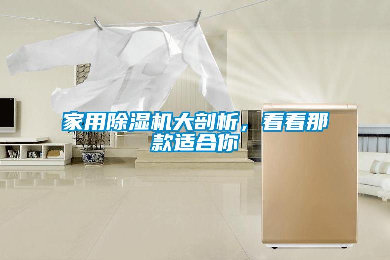 家用除濕機大剖析,看看那款適合你