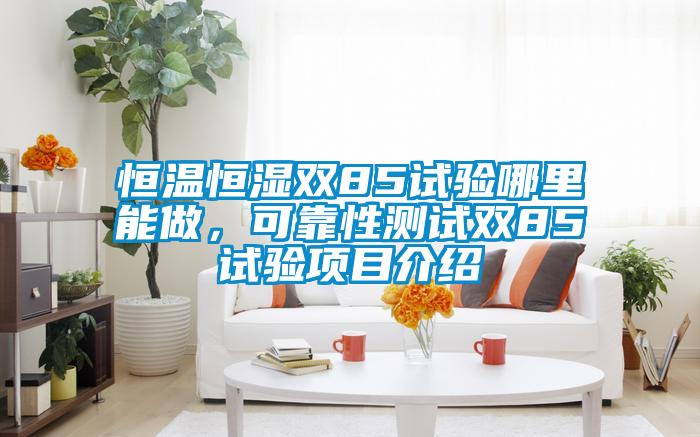 恒溫恒濕雙85試驗?zāi)睦锬茏觯煽啃詼y試雙85試驗項目介紹