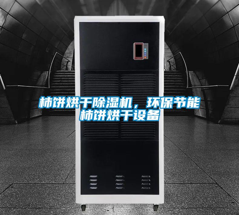 柿餅烘干除濕機,環(huán)保節(jié)能柿餅烘干設備