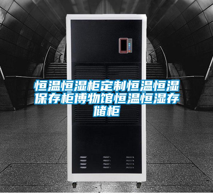 恒溫恒濕柜定制恒溫恒濕保存柜博物館恒溫恒濕存儲(chǔ)柜