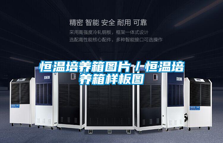 恒溫培養箱圖片/恒溫培養箱樣板圖