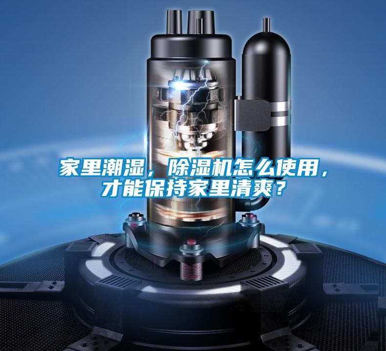 家里潮濕,除濕機怎么使用,才能保持家里清爽?