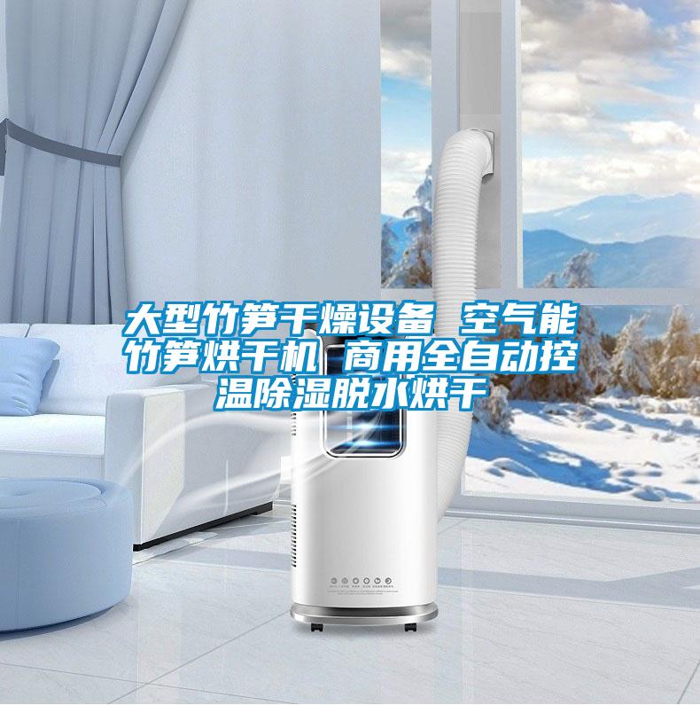 大型竹筍干燥設備 空氣能竹筍烘干機 商用全自動控溫除濕脫水烘干