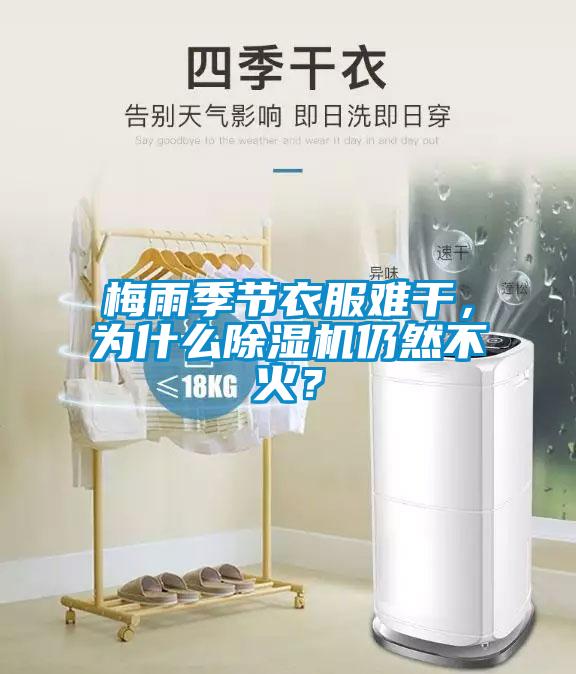 梅雨季節(jié)衣服難干，為什么除濕機(jī)仍然不火？