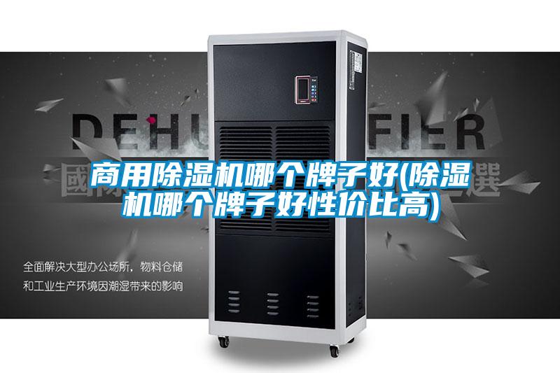 商用除濕機(jī)哪個牌子好(除濕機(jī)哪個牌子好性價比高)