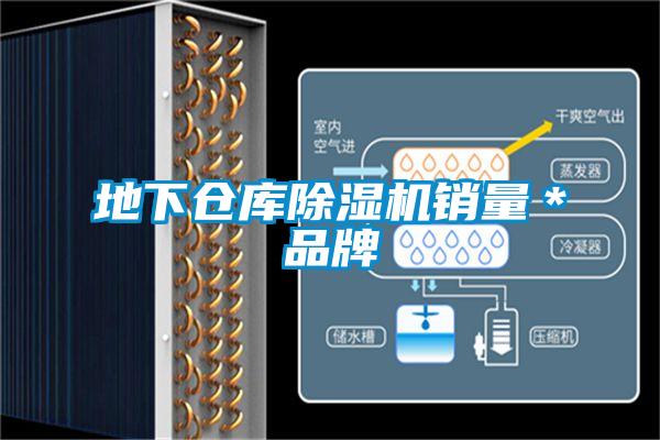 地下倉庫除濕機銷量*品牌