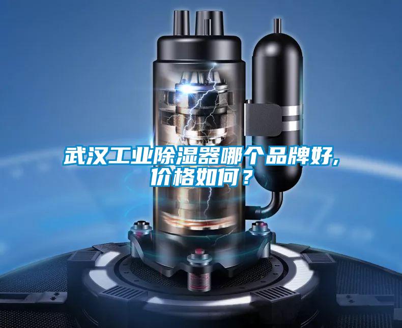 武漢工業除濕器哪個品牌好,價格如何?
