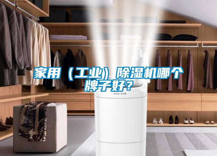 家用(工業)除濕機哪個牌子好?