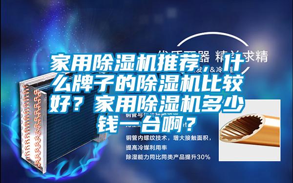 家用除濕機推薦,什么牌子的除濕機比較好?家用除濕機多少錢一臺啊?
