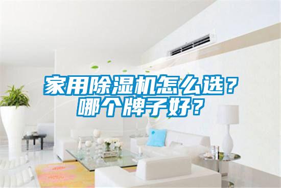 家用除濕機怎么選?哪個牌子好?
