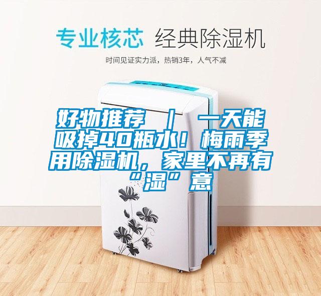 好物推薦 ｜ 一天能吸掉40瓶水！梅雨季用除濕機(jī)，家里不再有“濕”意