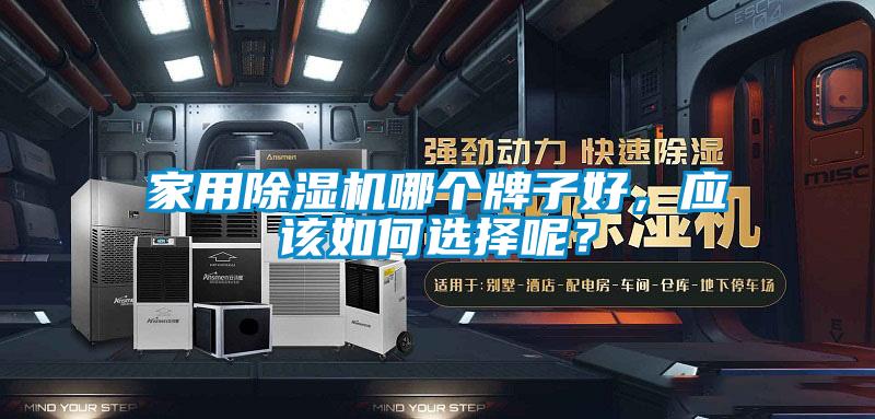 家用除濕機(jī)哪個牌子好,應(yīng)該如何選擇呢?