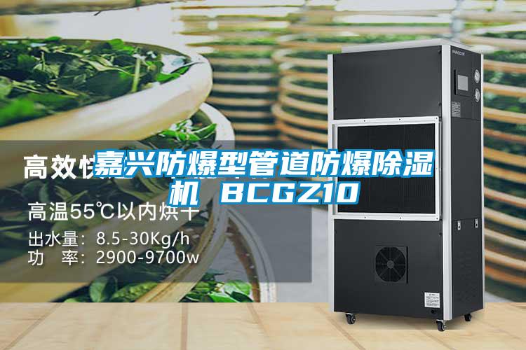 嘉興防爆型管道防爆除濕機 BCGZ10