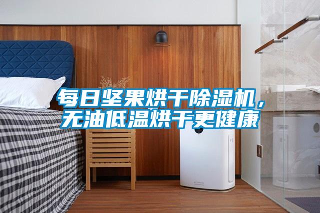 每日?qǐng)?jiān)果烘干除濕機(jī),無油低溫烘干更健康