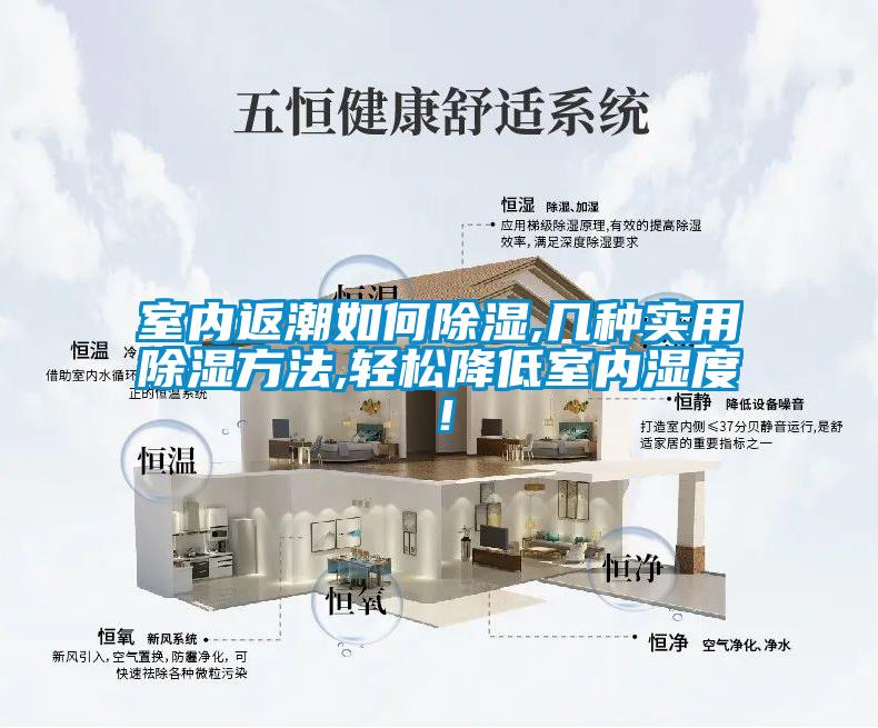 室內返潮如何除濕,幾種實用除濕方法,輕松降低室內濕度!