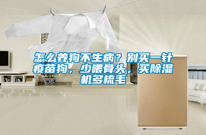 怎么養(yǎng)狗不生病?別買一針疫苗狗,少喂骨頭,買除濕機多梳毛
