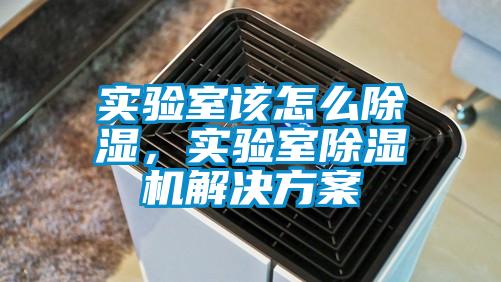 實(shí)驗(yàn)室該怎么除濕,實(shí)驗(yàn)室除濕機(jī)解決方案