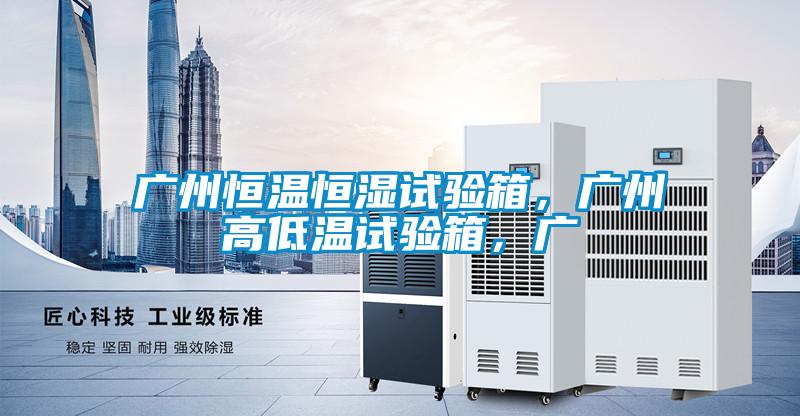 廣州恒溫恒濕試驗箱,廣州高低溫試驗箱,廣