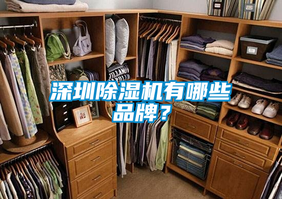 深圳除濕機有哪些品牌？
